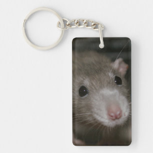 Porte-clefs Rat curieux