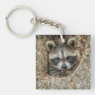 Porte-clefs Raton laveur niché à l'intérieur d'un creux d'arbr