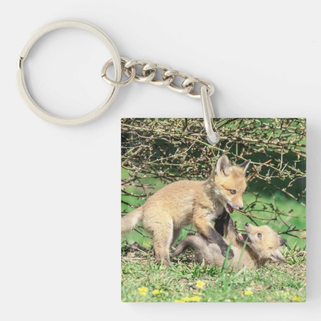 Porte-clefs Red Fox Kits Jouer (Devant)