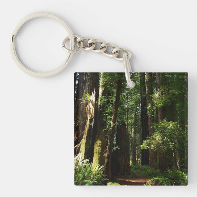 Porte-clefs Redwoods and Ferns at Redwood National Park (Devant)