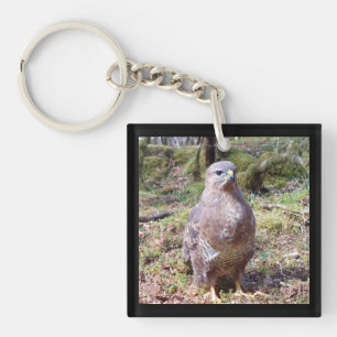 Porte-clefs Regard Perçant du Buse Majestueux Faune de la Forê