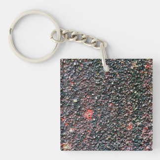 Porte-clefs remuer la canneberge