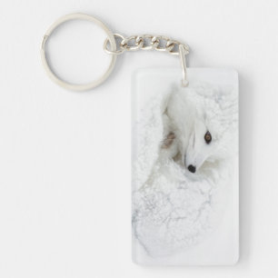 Porte-clefs Renard arctique recroquevillé en hiver