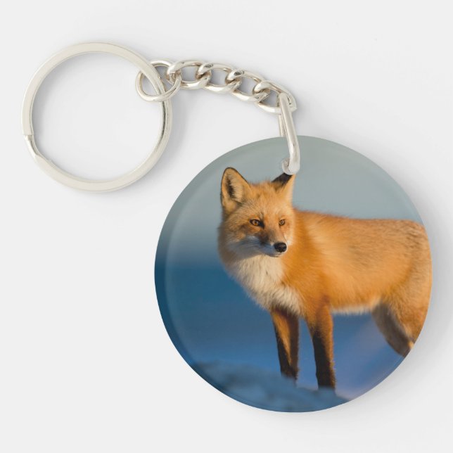 Porte-clefs Renard Brown (Devant)