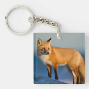 Porte-clefs Renard Brown