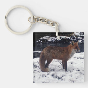 Porte-clefs Renard roux faune hiver neige forêt animal