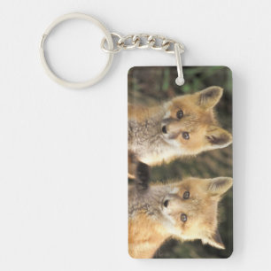 Porte-clefs Renardeau roux devant terrier Vulpes vulpes)