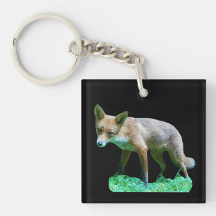 Porte-clefs Renardeau sur herbe moussue faune forestière natur