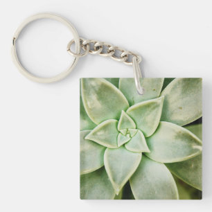 Porte-clefs Ressort Succulent