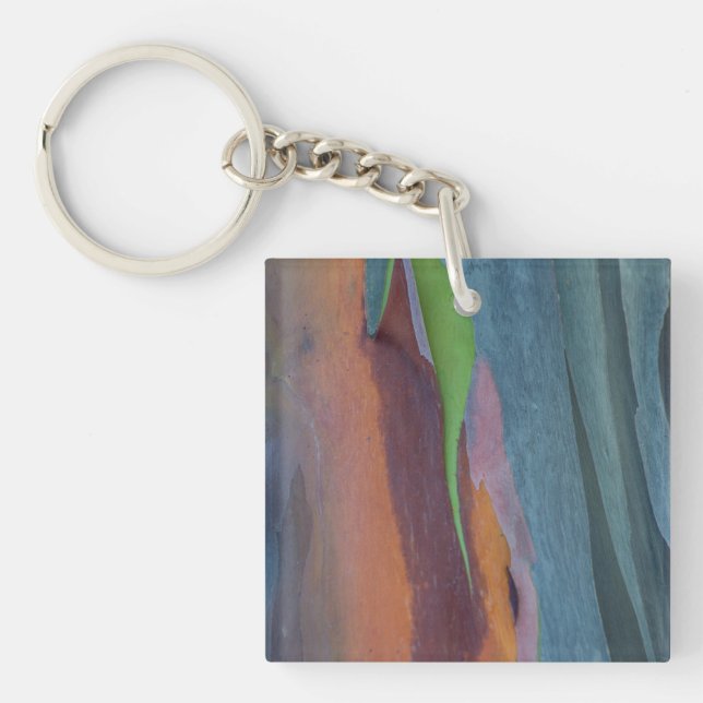 Porte-clefs Résumé de l'arbre à gomme arc-en-ciel (Devant)