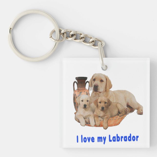 Porte-clefs Retriever du Labrador (Devant)