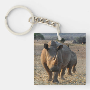 Porte-clefs Rhino gris dans la nature