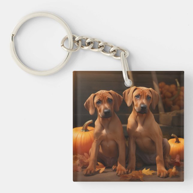 Porte-clefs Rhodesian Ridgeback Chiot Automne Citrouille délic (Devant)