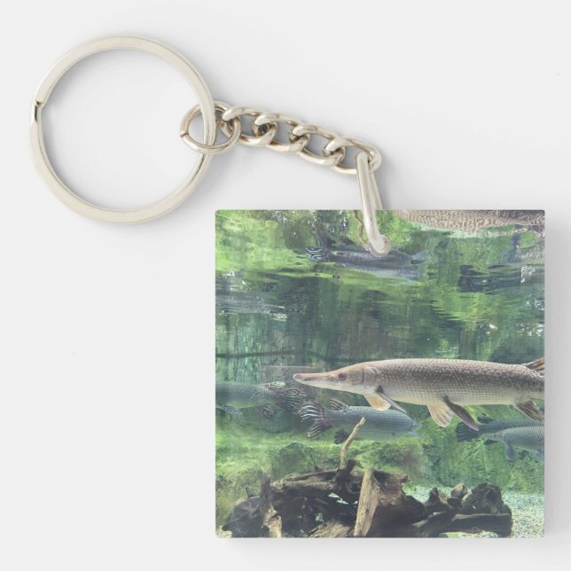 Porte-clefs River Pike Fish Clear Water Photo (Devant)