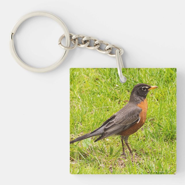 Porte-clefs Robin américain (Devant)