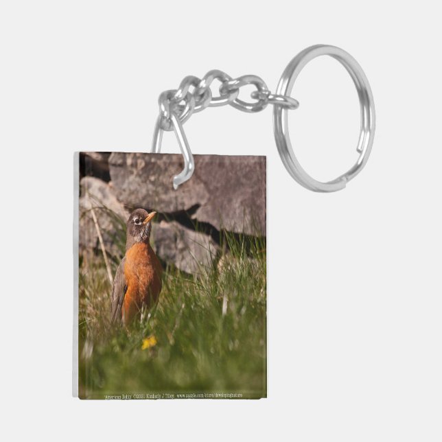 Porte-clefs Robin américain (Dos gauche)