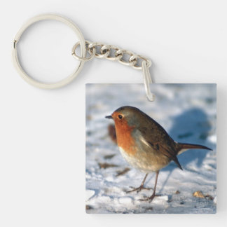 Porte-clefs Robin dans la neige