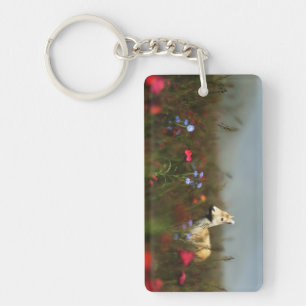 Porte-clefs Roe dans un Porte - clé acrylique pré