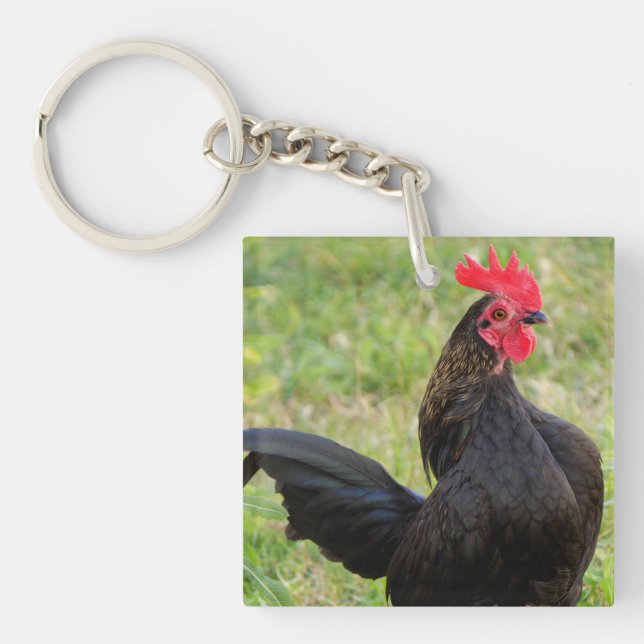 Porte-clefs Rooster Portrait (Devant)
