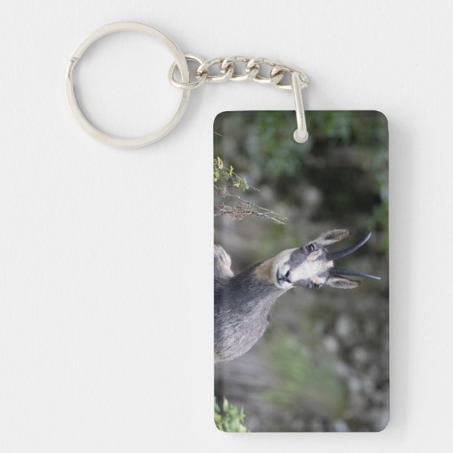 Porte-clefs Rupicapra rupicapra (Devant)