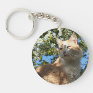 Porte-clefs Sahara Chat dans un Porte - clé d'arbre