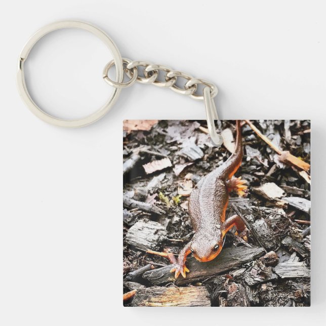 Porte-clefs Salamandre dans la forêt, Oregon (Devant)