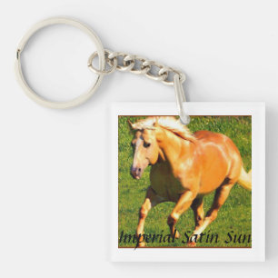 Porte-clefs Satin Chain~ principal