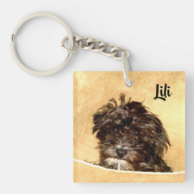 Porte-clefs Schnoodle Chien double face (Devant)