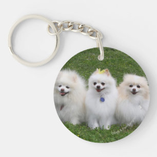 Porte-clefs Séance de 3 Pomeranians