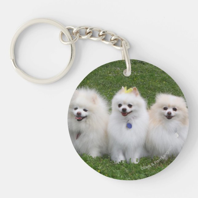 Porte-clefs Séance de 3 Pomeranians (Devant)