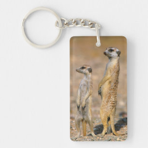 Porte-clefs Sentinelles de suricate (Suricata suricatta), Kara