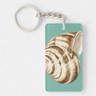 Porte-clefs Sépia Shell rayé sur Teal