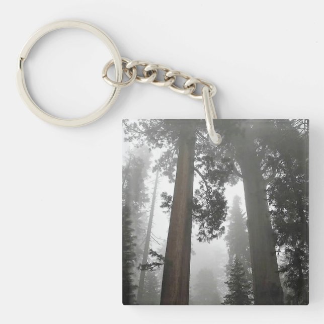 Porte-clefs Séquoia géantes dans le brouillard, CA (Devant)
