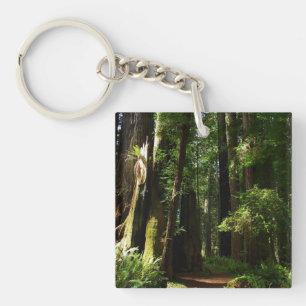 Porte-clefs Séquoias et fougères au parc national de Redwood