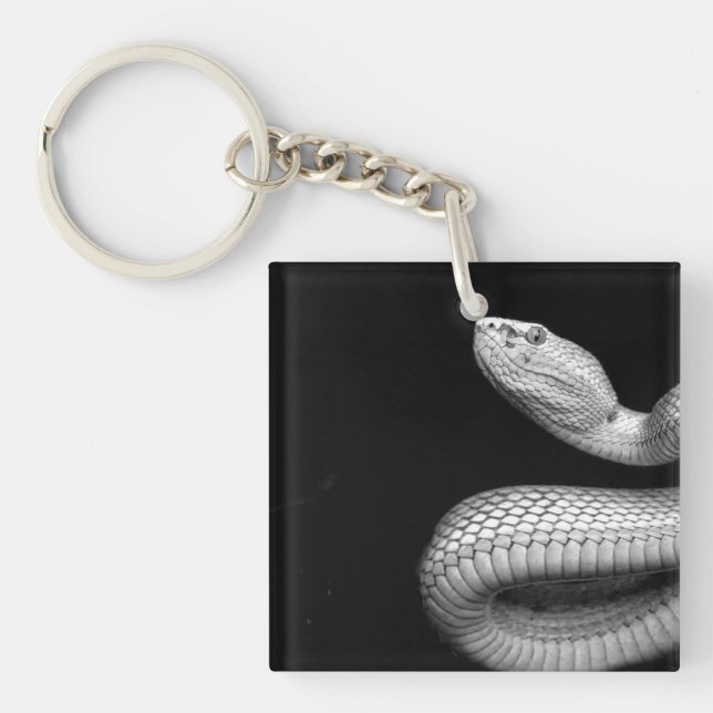 Porte-clefs Serpent (Devant)