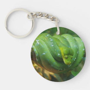 Porte-clefs Serpent Python à arbre vert