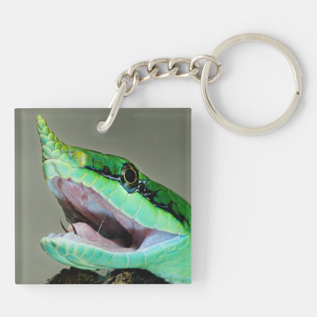 Porte-clefs Serpent rhinocéros (Dos)