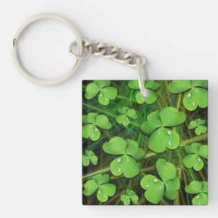 Porte-clefs Shamrock vert St Patrick iPhone 5 Coque-Mate