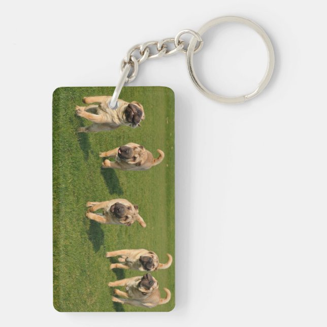 Porte-clefs Shar Pei chiots joueurs (Dos)