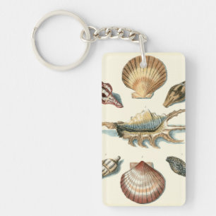 Porte-clefs Shell de fantaisie échouent