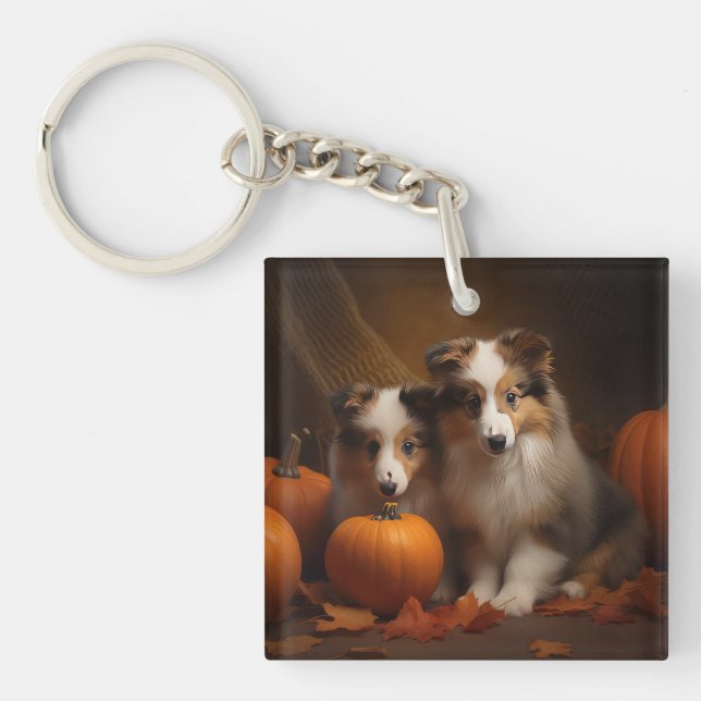 Porte-clefs Shetland Sheepdog Chiot Chiot Automne Citrouille d (Devant)