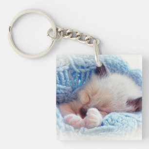 Porte-clefs Siamese Kitten Paws dormant