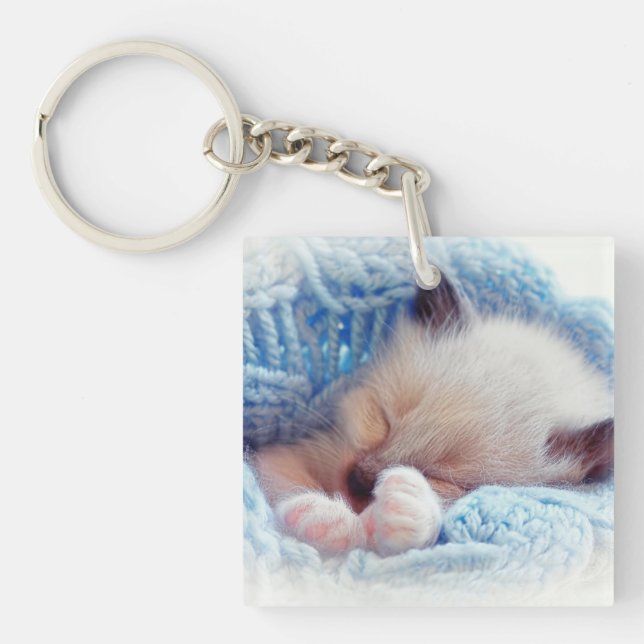 Porte-clefs Siamese Kitten Paws dormant (Devant)