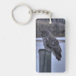 Porte-clefs Sitting Great Grey Owl - Poteau de clôture Photo d