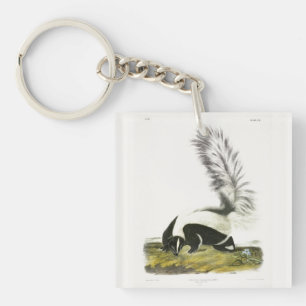 Porte-clefs Skunk à capuchon ou Skunk à grande queue d'Audubon