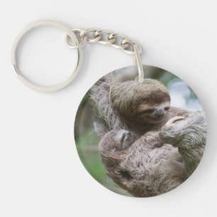 Porte-clefs Sloth Baby avec mère pendre d'un arbre