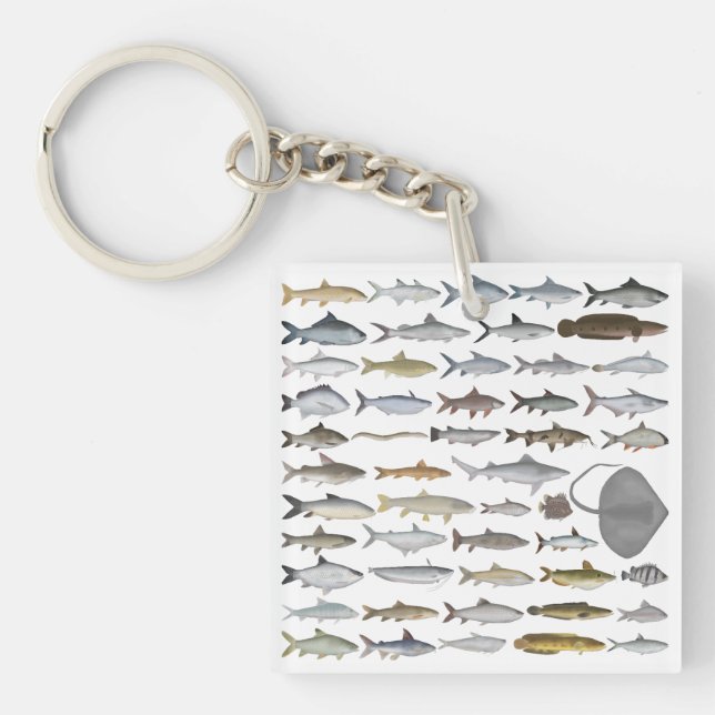 Porte-clefs South Asia Freshwater Fish Group (Devant)