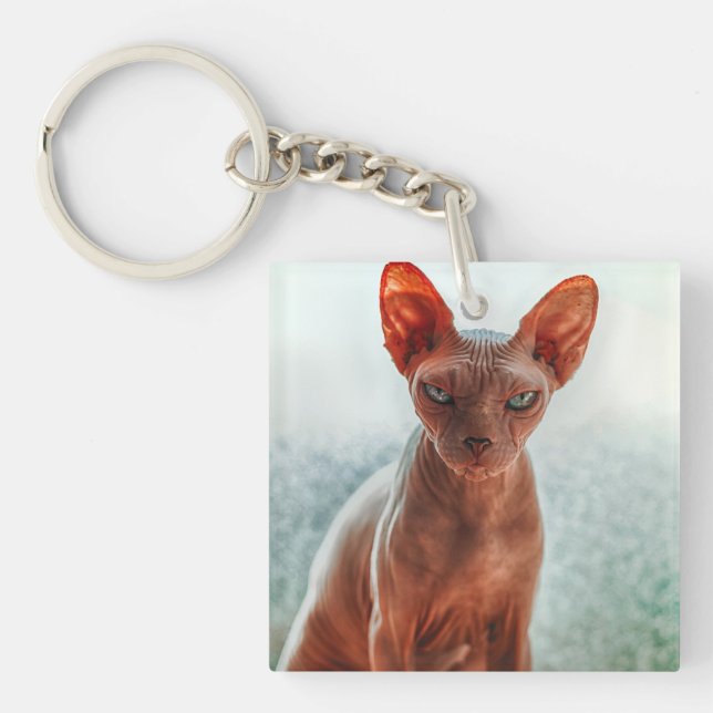 Porte-clefs Sphynx sans cheveux (Devant)