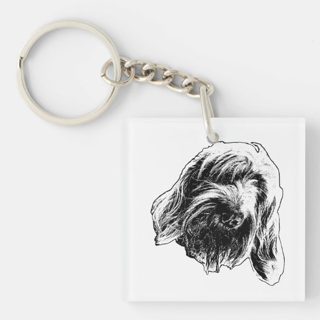 Porte-clefs Spinone Pocket Quiet (Devant)