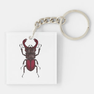 Porte-clefs Stag beetle